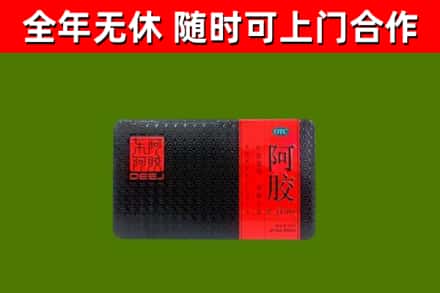 龙子湖回收阿胶
